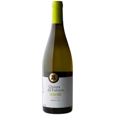 Garrafa de vinho branco Quinta da Falorca Encruzado