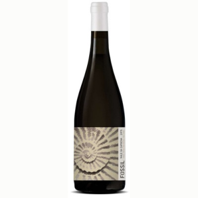 Garrafa de vinho com rótulo de fóssil em vidro escuro