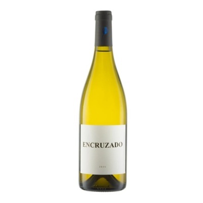 Garrafa de vinho branco Encruzado 2025 com rótulo branco e rolha preta