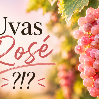 Cachos de uvas rosé em videira num vinhedo com texto Uvas Rosé?!?