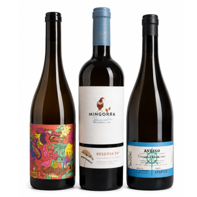 Três garrafas de vinho com rótulos distintos em fundo branco.
