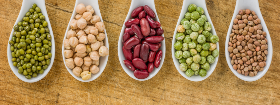 Leguminosas - Como Demolhar e Cozer Cinco colheres brancas com diferentes leguminosas sobre fundo de madeira.