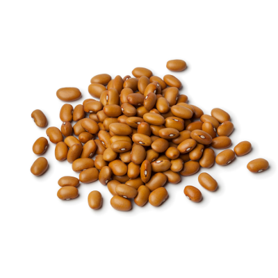 Feijão castanho disperso sobre fundo branco