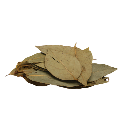 Folhas secas de louro castanho-esverdeadas