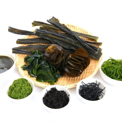 Diversos tipos de algas em pratos pequenos e um cesto de bambu, sobre fundo branco