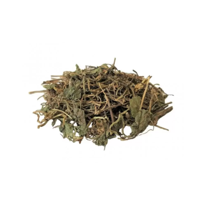 Folhas secas amareladas e caules castanhos espalhados isolados