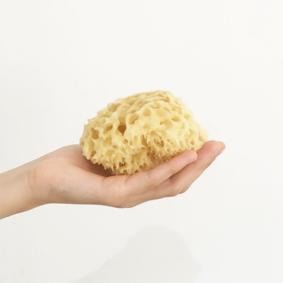 Esponja natural bege com textura porosa numa mão