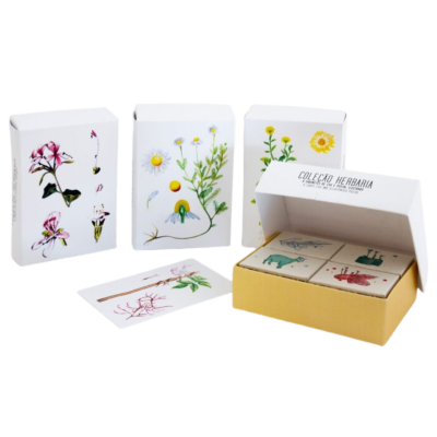 Caixas e cartas decorativas com ilustrações botânicas coloridas em fundo branco.