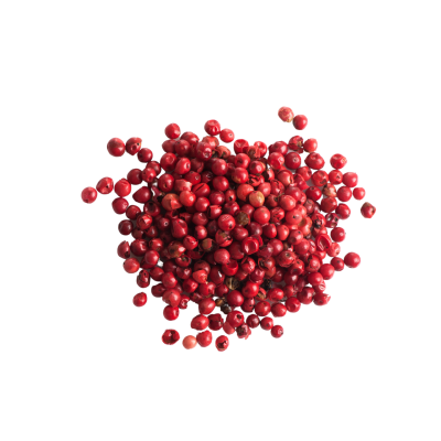 Bagas vermelhas redondas brilhantes sobre fundo branco