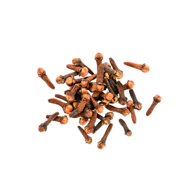 Cravinhos secos castanhos sobre fundo branco