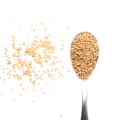 Colher metálica com sementes amarelas pequenas