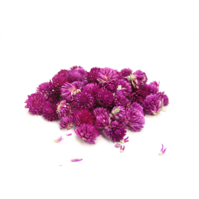 Flores secas roxas e rosas sobre superfície branca