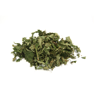 Folhas secas verdes sobre fundo branco