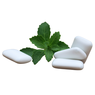 Quatro pastilhas brancas e um ramo de folhas verdes