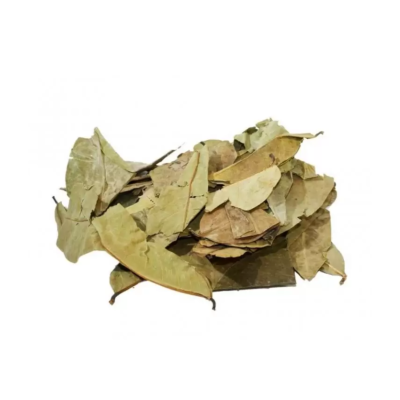 Amontoado de folhas secas castanhas e verdes claras sobre fundo branco