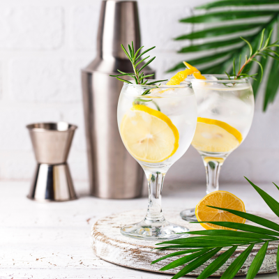 Dois copos de gin tónico com limão e alecrim, shaker e medidor metálicos ao fundo, sobre tábua de madeira branca