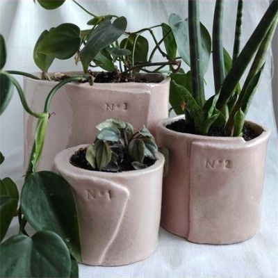 Três vasos de cerâmica creme numerados com plantas várias