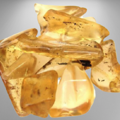 Pedras de âmbar amarelo translúcido com inclusões negras