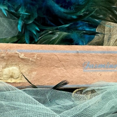 Caixa de incenso Jasmine em papel castanho com penas e rede verde claro