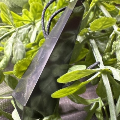 Pingente de pedra verde escura com cordão preto entre folhas verdes