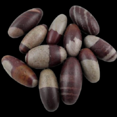 Sementes ovais lisas com cores marrom avermelhado e bege