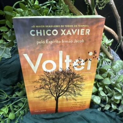 Livro Voltei de Chico Xavier com capa laranja e amarelo com árvore e pássaros, rodeado de plantas verdes