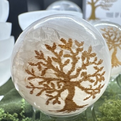 Esfera decorativa transparente com desenho de árvore castanha