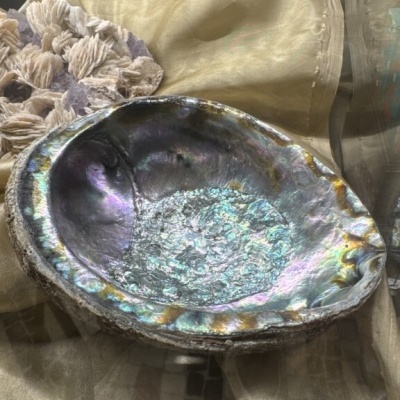Concha de abalone iridescente sobre tecido dourado