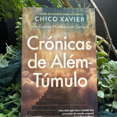 Livro Crónicas de Além-Túmulo com capa laranja e azul, texto branco, sobre superfície verde e plantas ao redor.