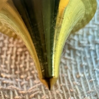 Ponta dourada de caneta esferográfica sobre tecido texturizado