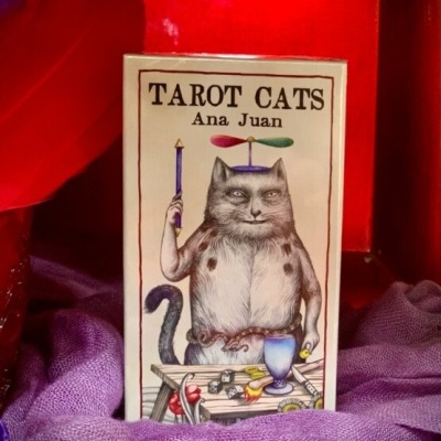Caixa de baralho de Tarot com ilustração de gato e textos TAROT CATS e Ana Juan