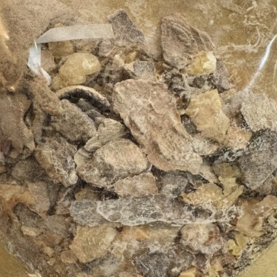 Saco transparente com pedaços irregulares de mineral ou resina natural em cores castanhas, amarelas e pretas