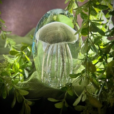 Escultura em vidro transparente com água-viva e plantas verdes ao redor