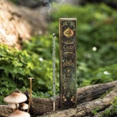 Caixa decorativa de incenso Gaia com incenso aceso num ambiente natural com vegetação e cogumelos
