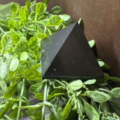 Piramide preta lisa sobre ramos verdes naturais