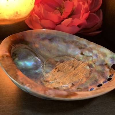 Prato decorativo de concha iridescente com flor vermelha e luz quente ao fundo