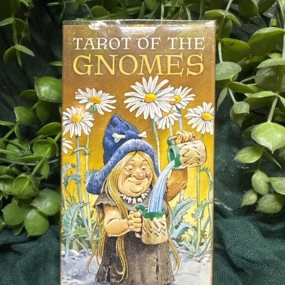 Caixa do baralho Tarot of the Gnomes com ilustração colorida de gnomo e margaridas