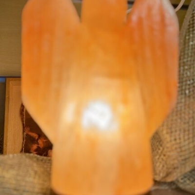 Lâmpada decorativa de cristal sal grosso em forma de cacto iluminada