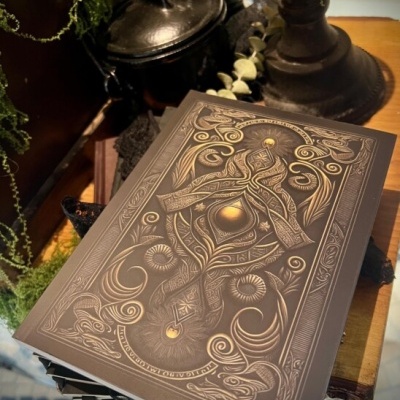 Caderno com capa rígida decorada em relevo e dourado sobre mesa de madeira com plantas e recipiente metálico ao fundo
