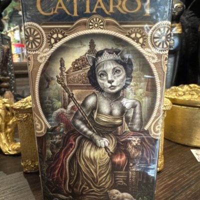 Baralho CAT TAROT com ilustração de gato vestido e cetro numa caixa plástica