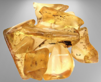 Pedras de âmbar amarelo translúcido com inclusões negras