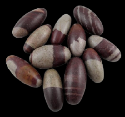 Sementes ovais lisas com cores marrom avermelhado e bege