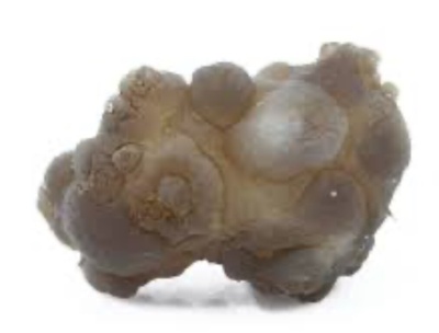 Mineral nodular cinzento e castanho sobre fundo branco