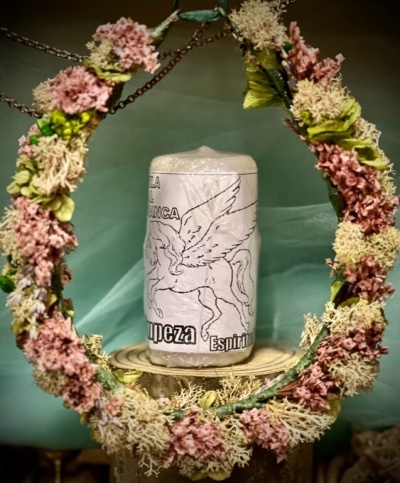 Vela branca com desenho de pégaso e texto pendurada numa moldura circular decorativa com musgo rosa e verde