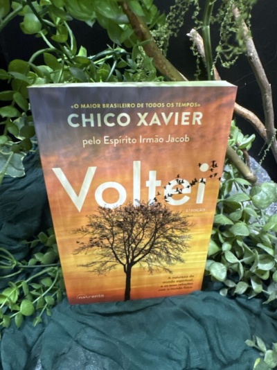 Livro Voltei de Chico Xavier com capa laranja e amarelo com árvore e pássaros, rodeado de plantas verdes