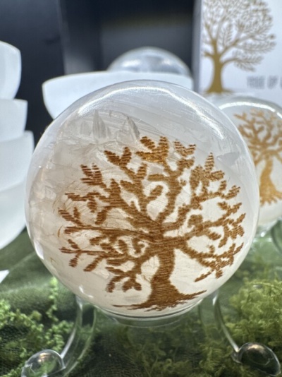 Esfera decorativa transparente com desenho de árvore castanha