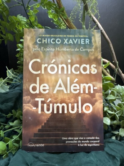 Livro Crónicas de Além-Túmulo com capa laranja e azul, texto branco, sobre superfície verde e plantas ao redor.