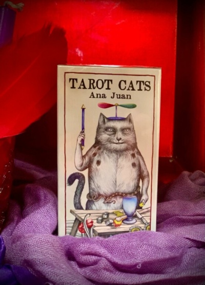 Caixa de baralho de Tarot com ilustração de gato e textos TAROT CATS e Ana Juan