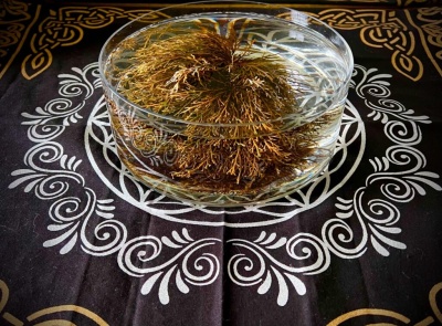 Taça de vidro com água e ramo seco castanho sobre pano preto decorado com padrão branco e dourado
