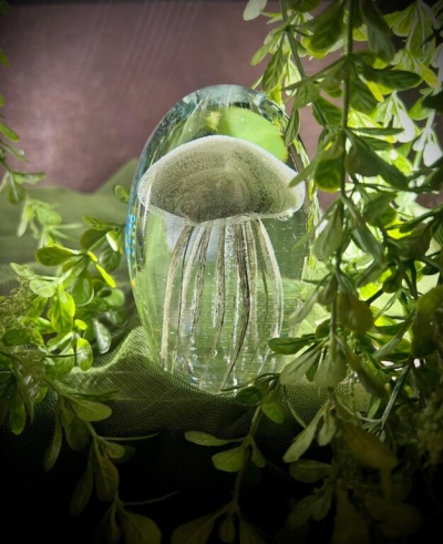 Escultura em vidro transparente com água-viva e plantas verdes ao redor